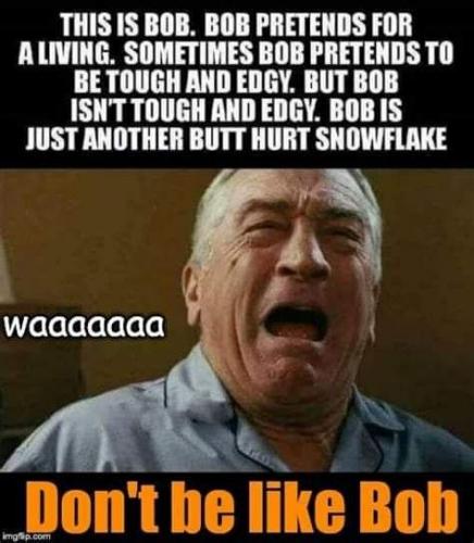 like bob