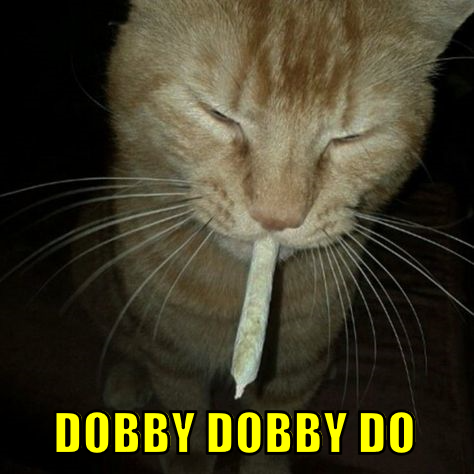 ddd