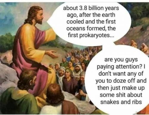 snakesandribs