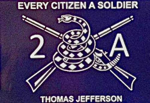 RO Every Citizen Soldier