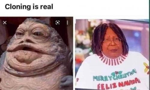 cloning