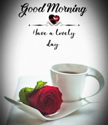 052824- GM coffee & rose