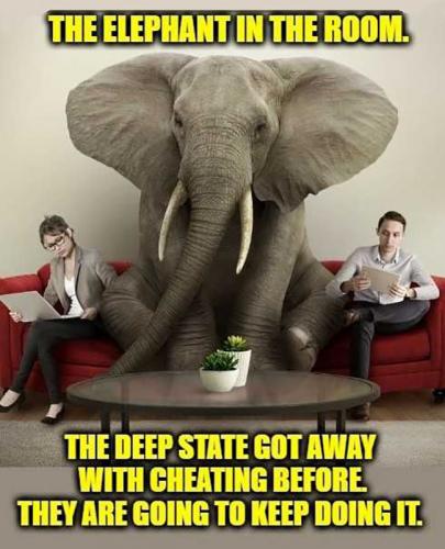 USA elephant in room