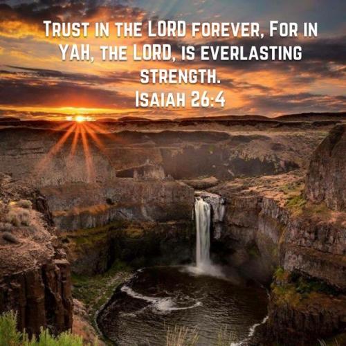 IMG_20240531_114446_180