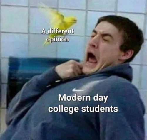 YZMvqEH