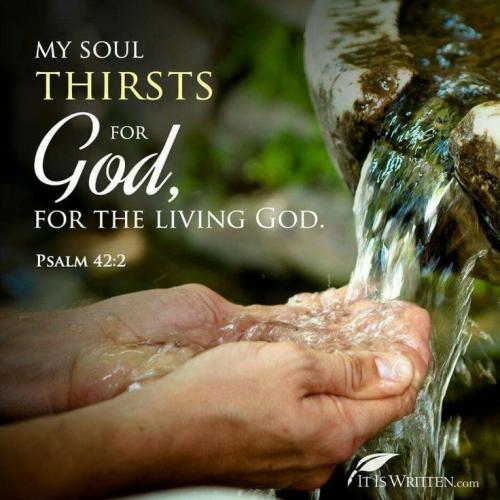 IMG_20240524_124147_225