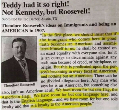 teddy