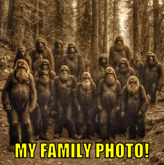 mfp