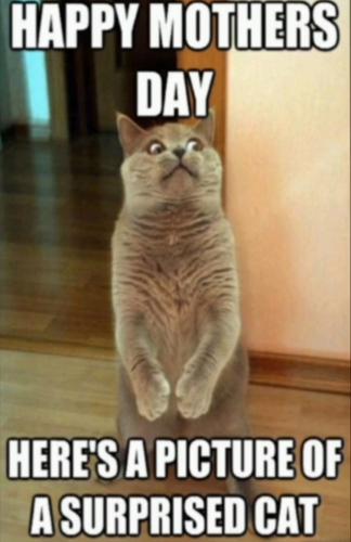 Screenshot_20240512-104602_Gallery