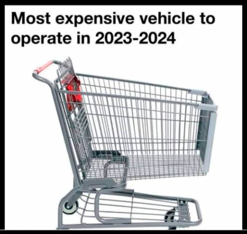 Pricey Shopping Carts
