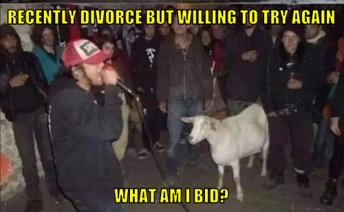 rdbwttawitb