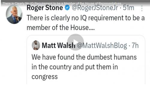 Roger stone Rumble video cover screenshot