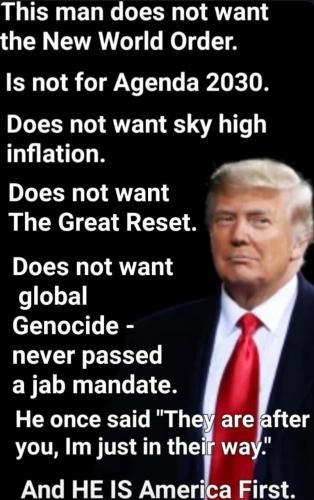 91834f23-f775-4d41-bb79-20321489c18e