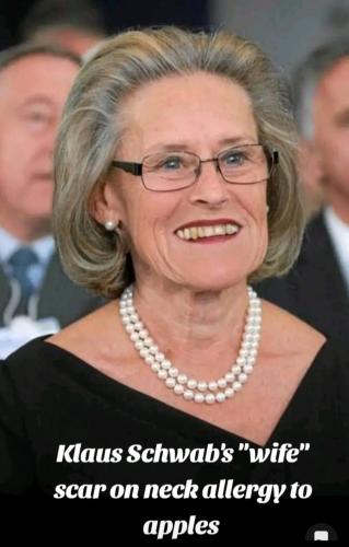 Screenshot_20240501-110438_Gallery