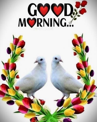 051524 - GM White Doves, Roses heart
