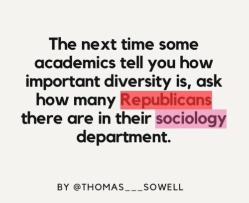 RO academics diversity