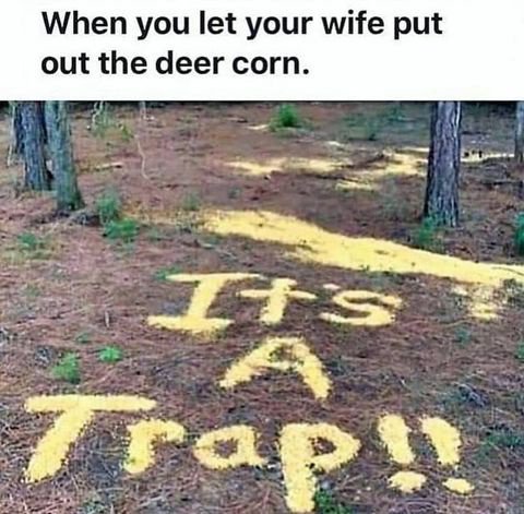 deercorn
