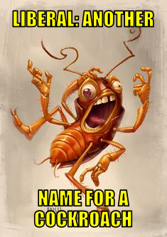 lanfac
