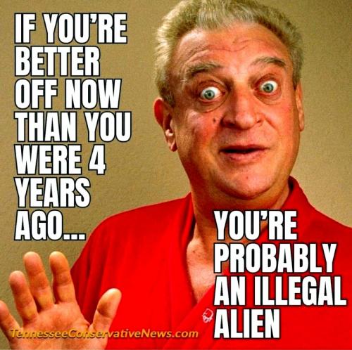 Rodney Dangerfield ~Illegals are Better Off~