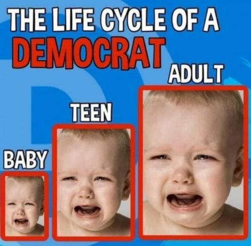 democrat2