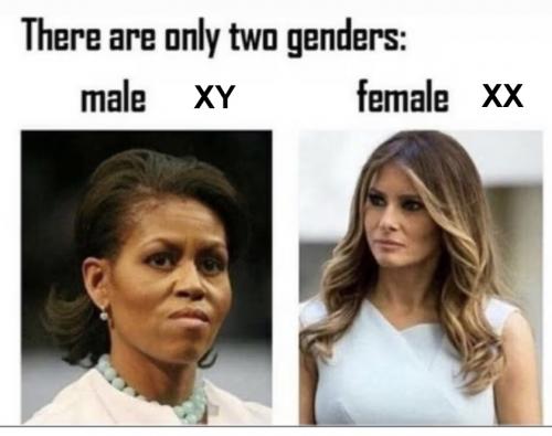 2 Genders