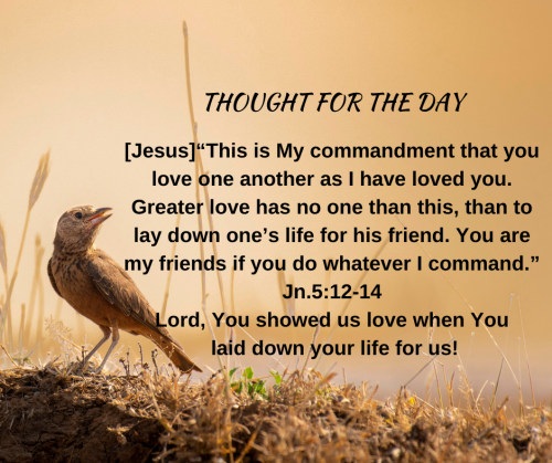 TWEET 05-30-24
