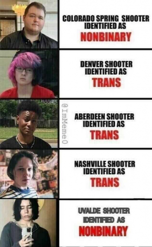 HOMOSEXUALITY.BROWNSHIRTTRANNYARMY.