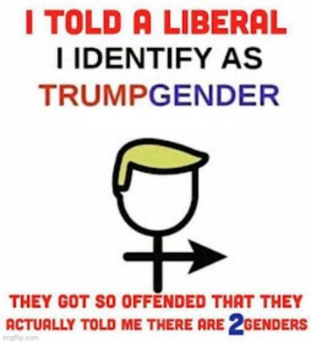 2 gender