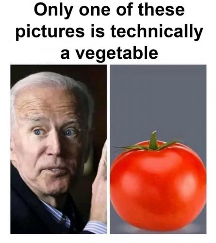 G technically vegetable