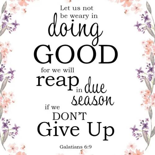 IMG_20240507_080617_766