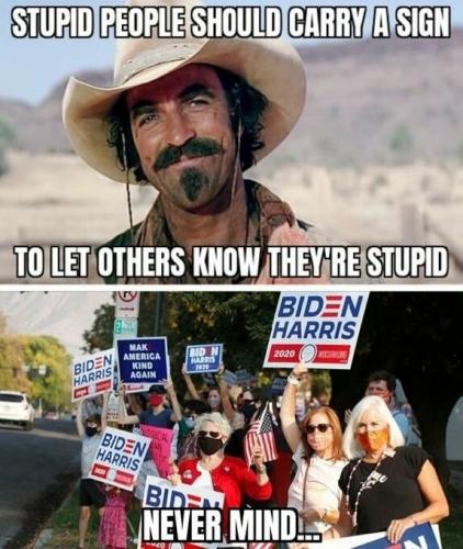 stupid people