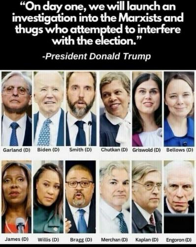 investigate