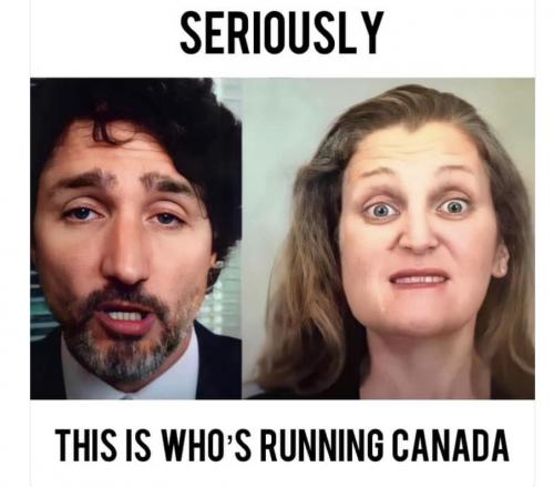 Canada election 2025 - Idiotcracy
