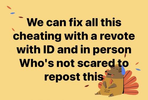 ID the vote