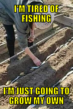 itofijgtgmo