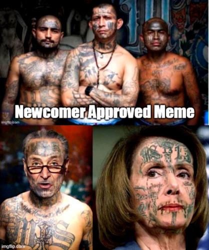 Schumer & Pelosi Meme ~Trying to Fit In with MS 13~