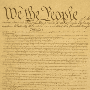 CONSTITUTION