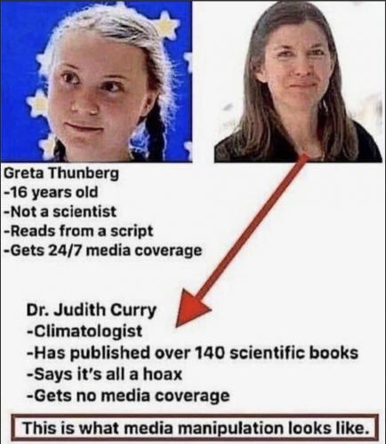 Typical MSM climate