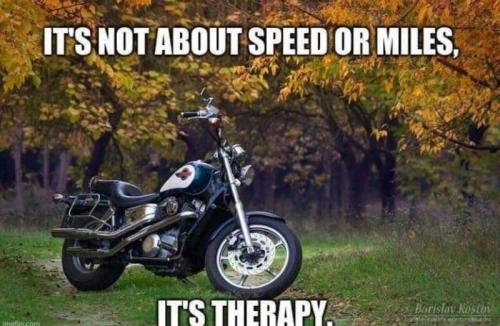Therapy