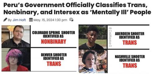 Peru LGBTQ mental