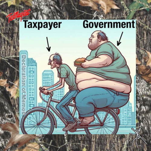 taxpayer