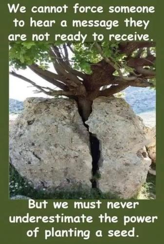 photo_2024-06-13_18-00-19