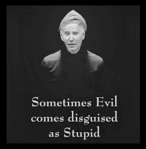 evil stupid