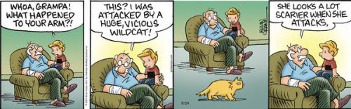 Screenshot 2024-05-24 at 09-26-19 Pickles by Brian Crane for May 24 2024 GoComics