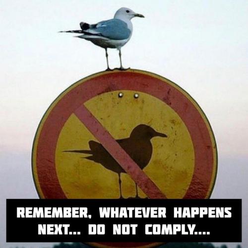 d210d9fe-d72b-4016-bd48-88af969cf025