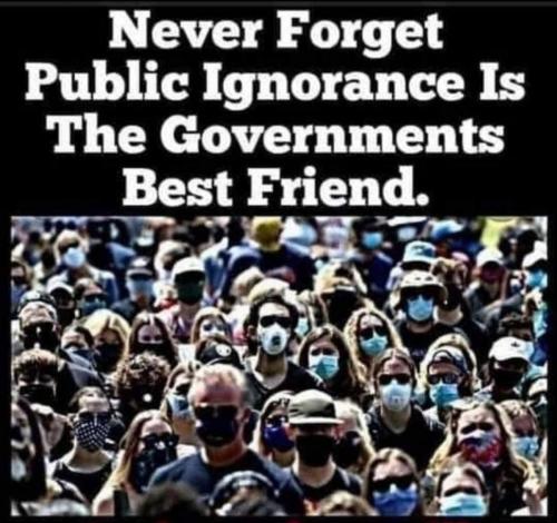 fake news 9