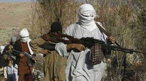 pig taliban