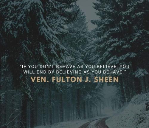 FB_IMG_1718939558528