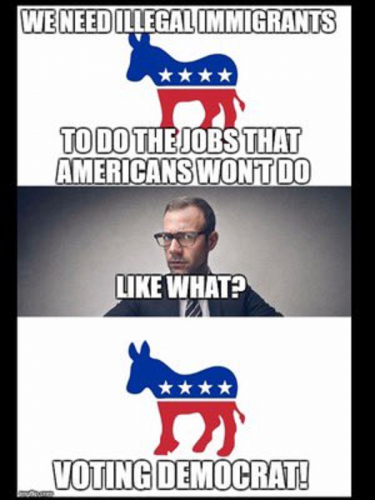 Illegal Immigrants -- What they Do best Vote Democrat