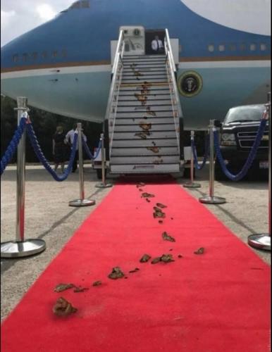 photo_2024-06-11_14-25-38 (2)